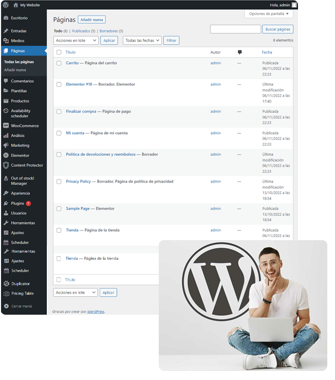 hosting wordpress